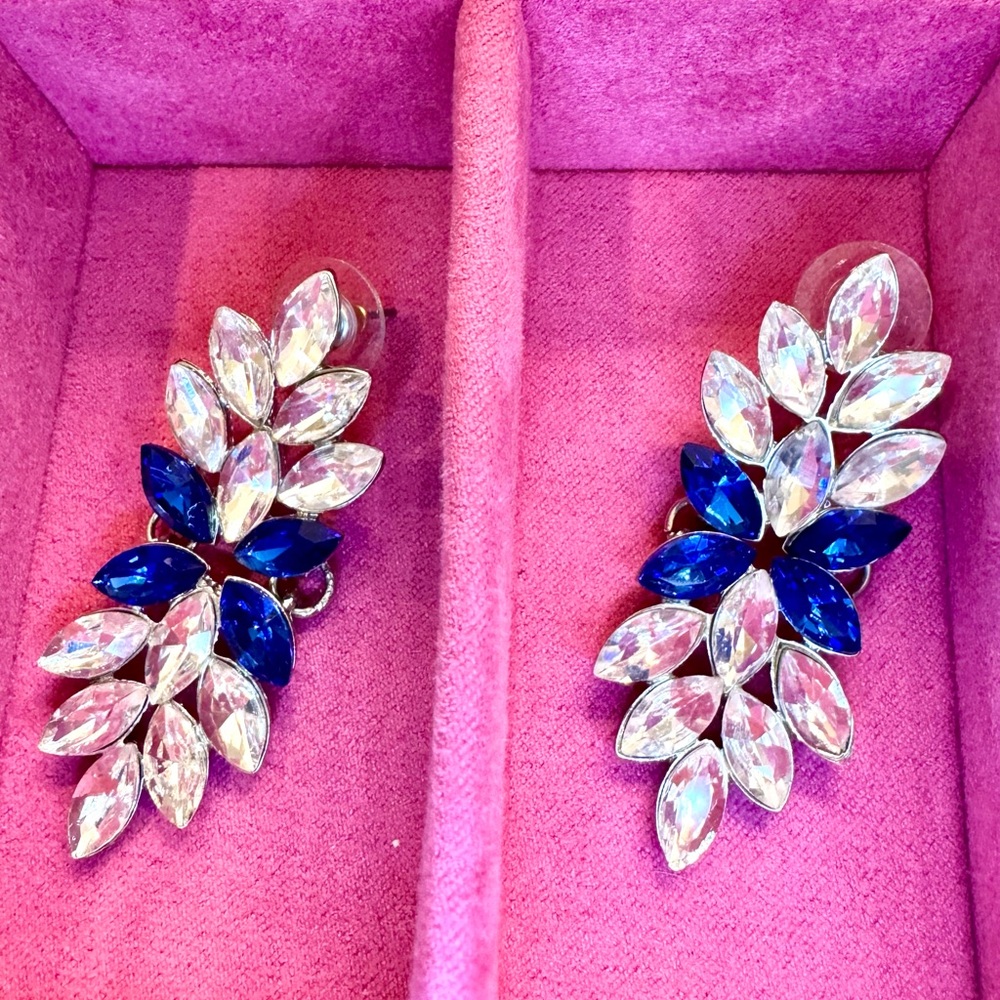 Double Leaf Blue & Clear Crystal Drop earrings.